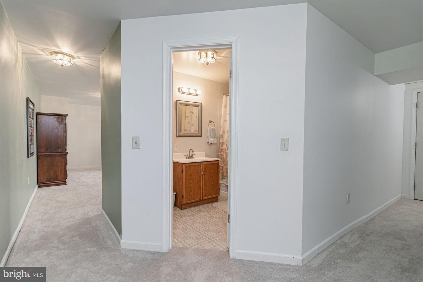 13209 Mountain Ash Court photo 19