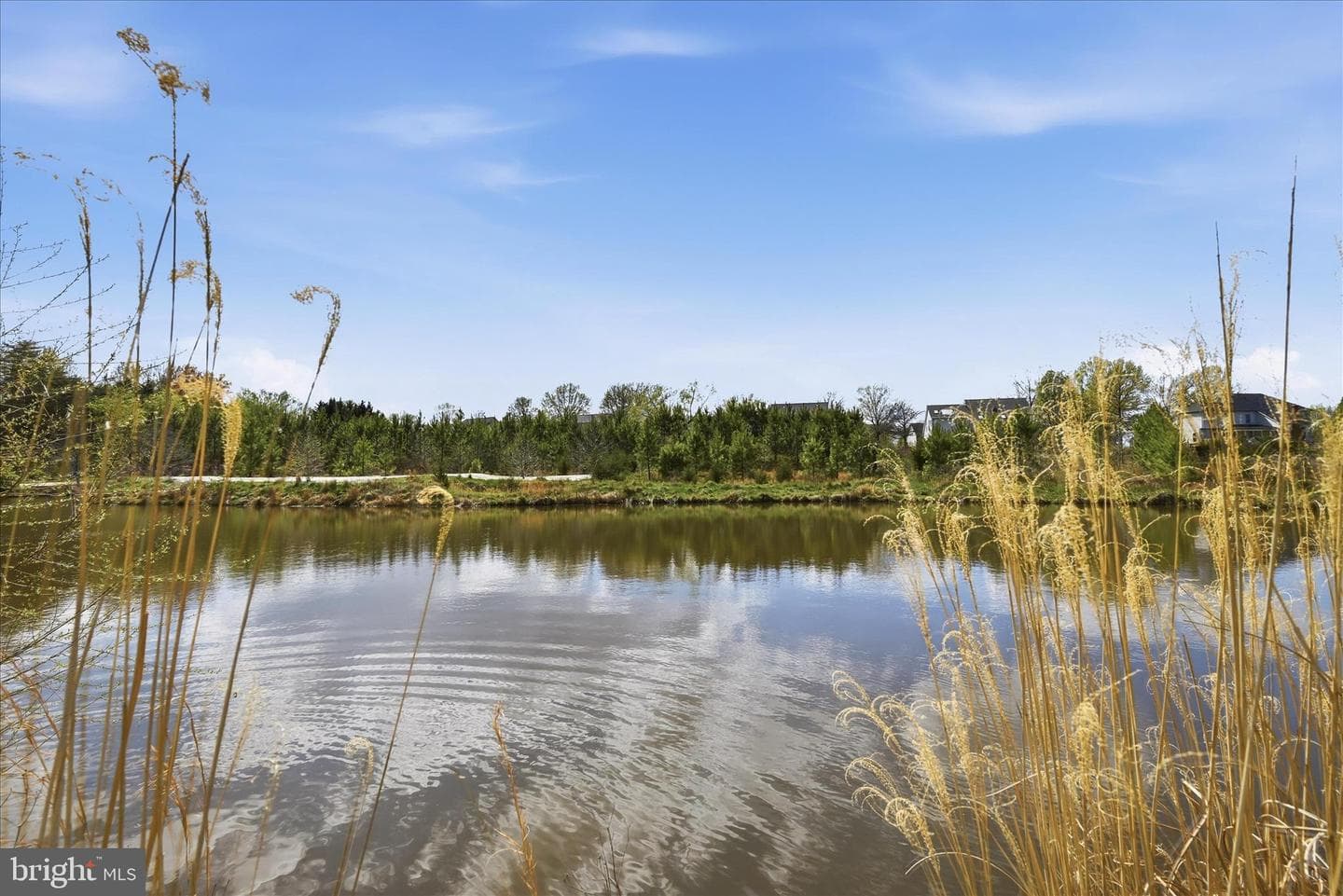 14170 Clubhouse Road photo 67