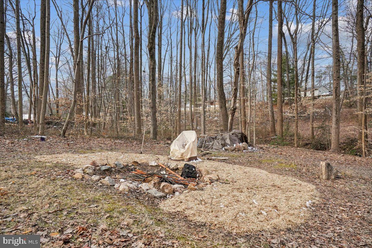 13485 Carapace Court photo 46