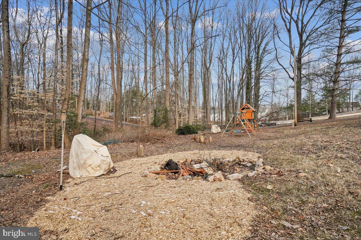 13485 Carapace Court photo 47