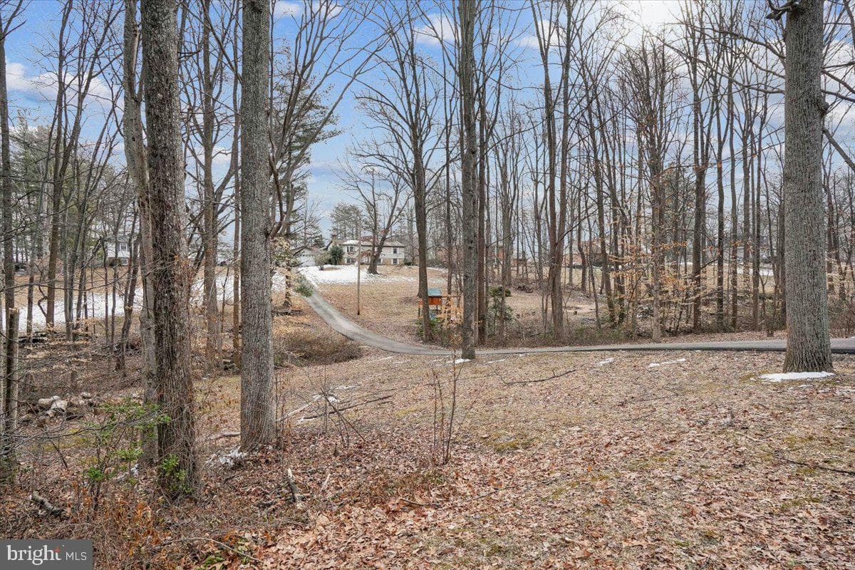 13485 Carapace Court photo 49