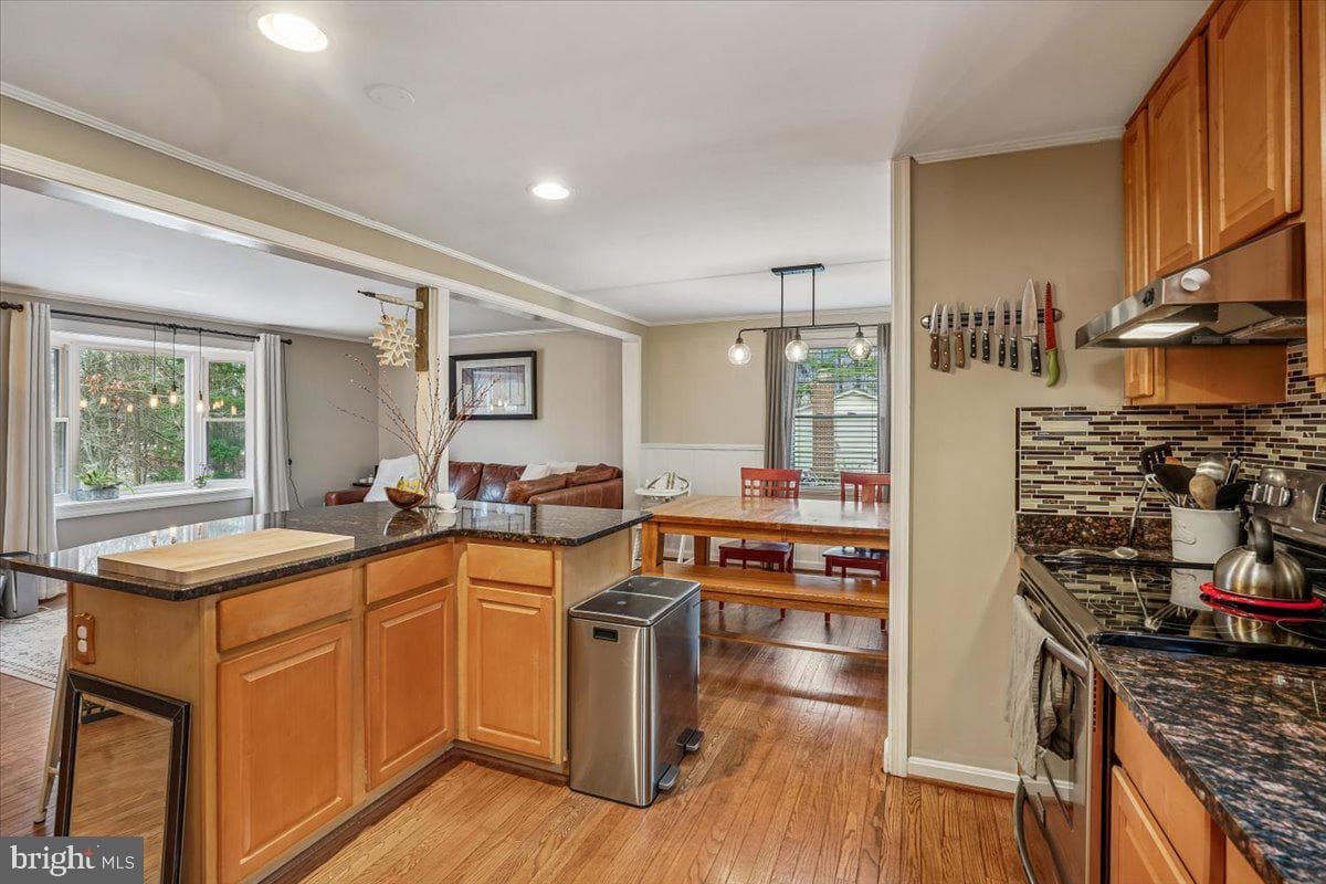 13485 Carapace Court photo 6