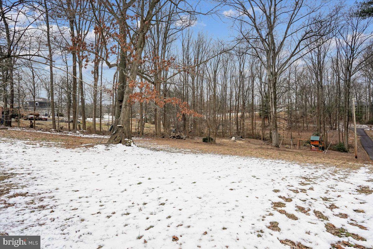 13485 Carapace Court photo 65