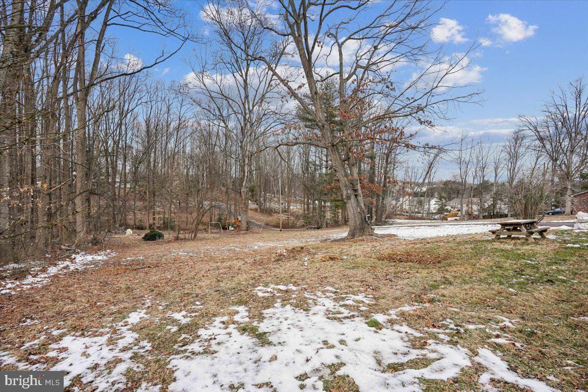 13485 Carapace Court photo 67