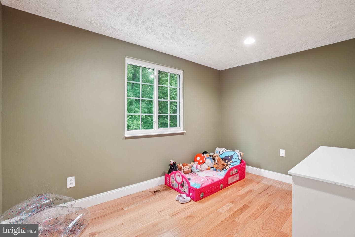 16041 Macedonia Drive photo 26