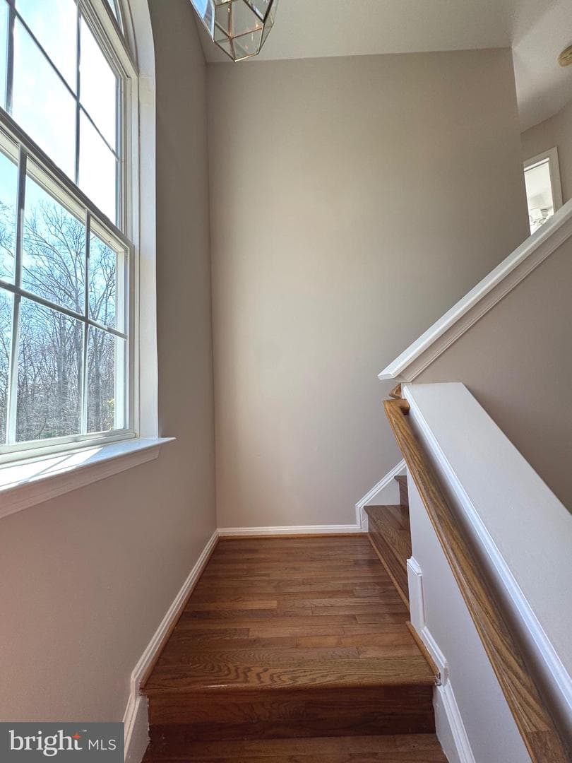 4395 Torrence Place photo 25