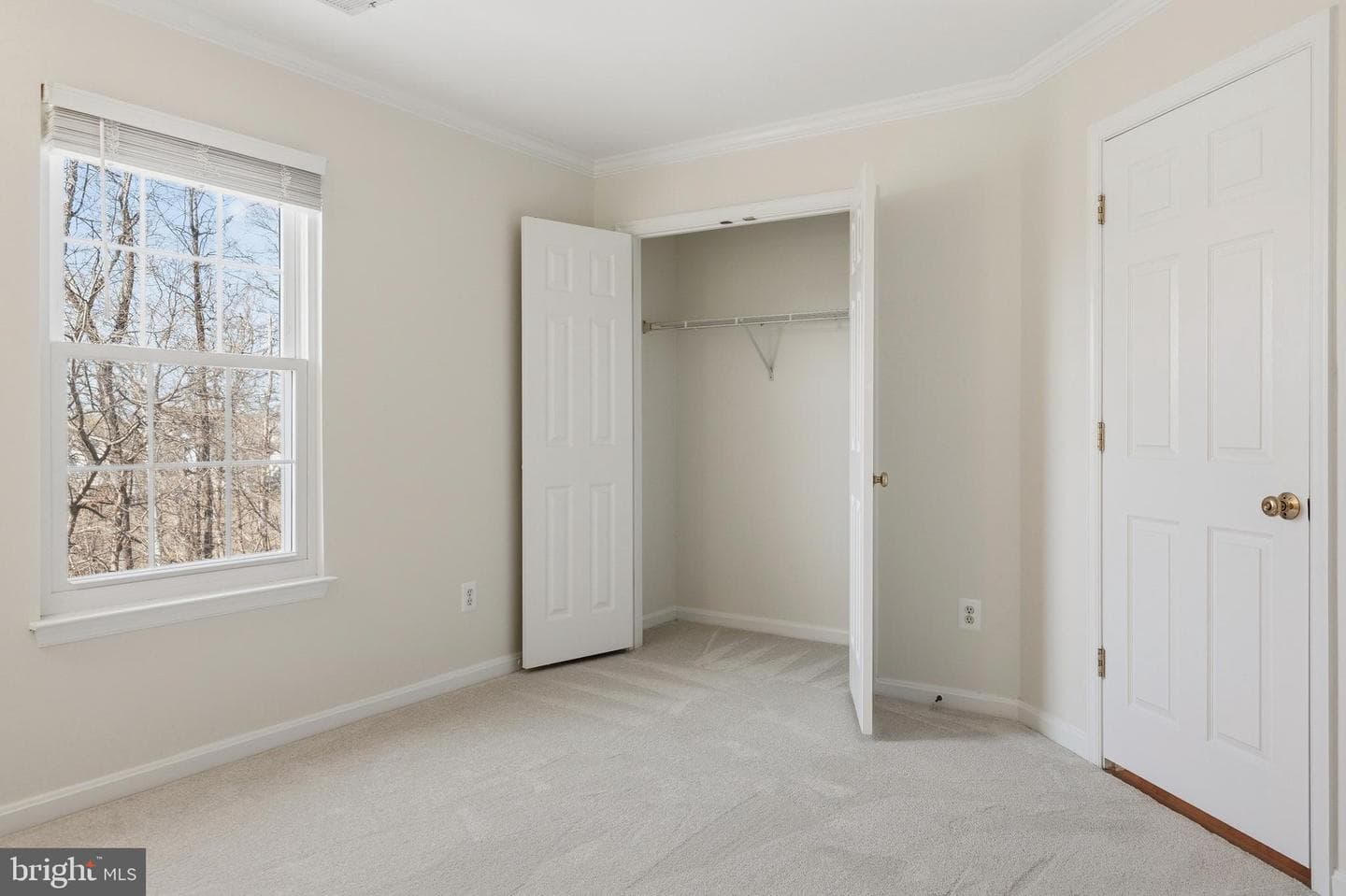10052 Naughton Court photo 47