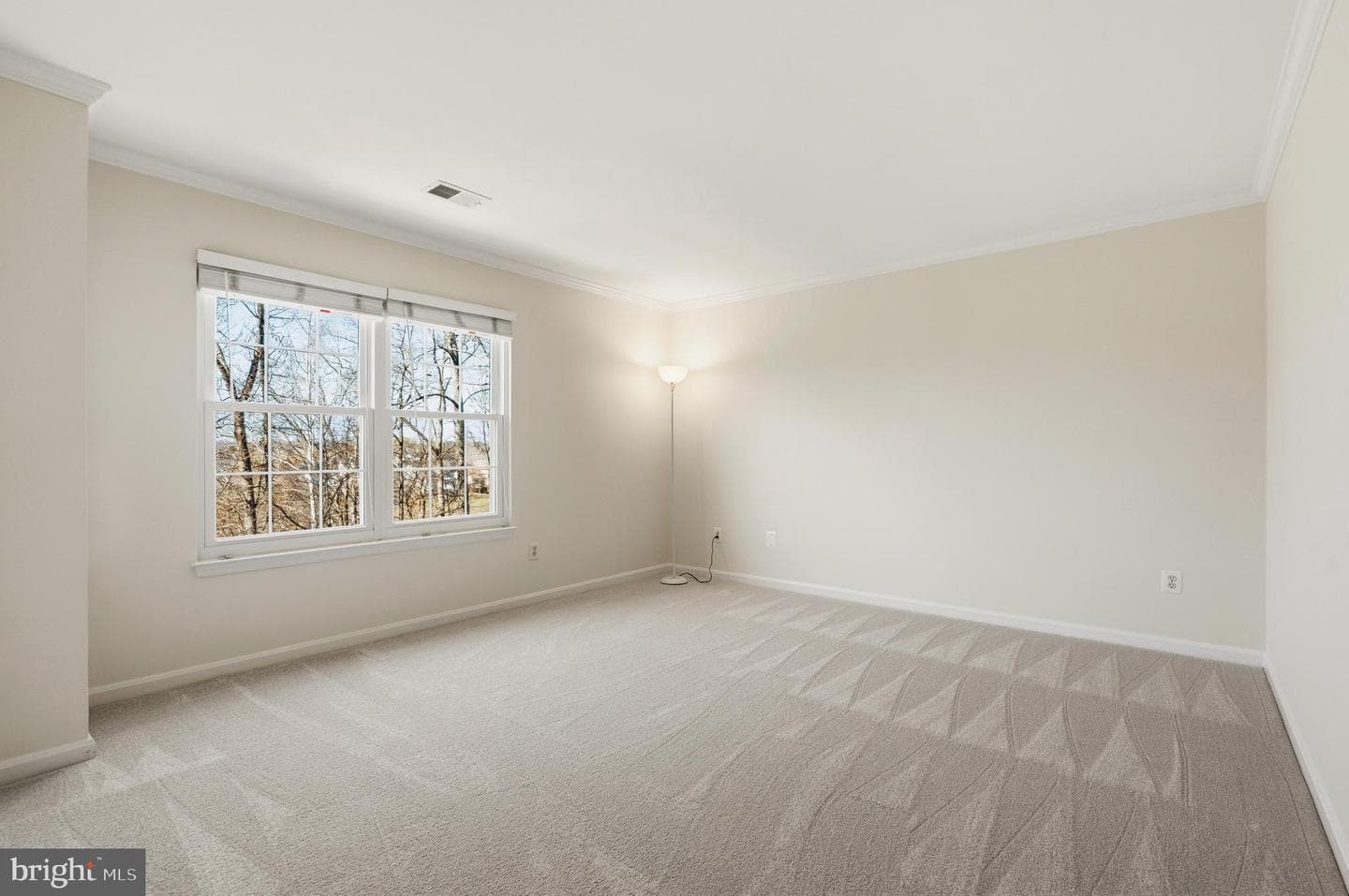 10052 Naughton Court photo 48