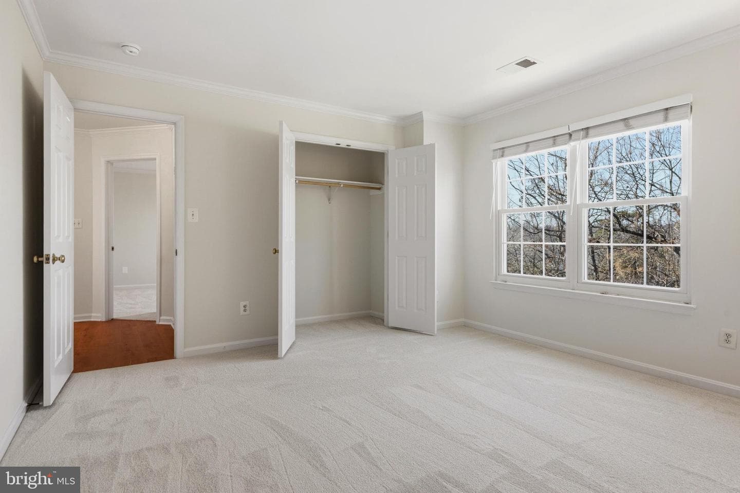 10052 Naughton Court photo 49