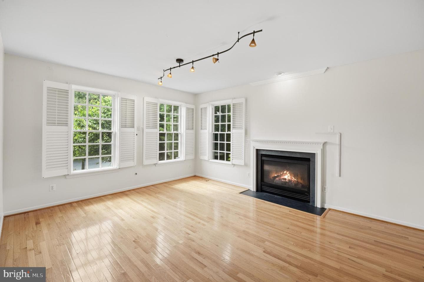 11701 Town Green Road photo 25