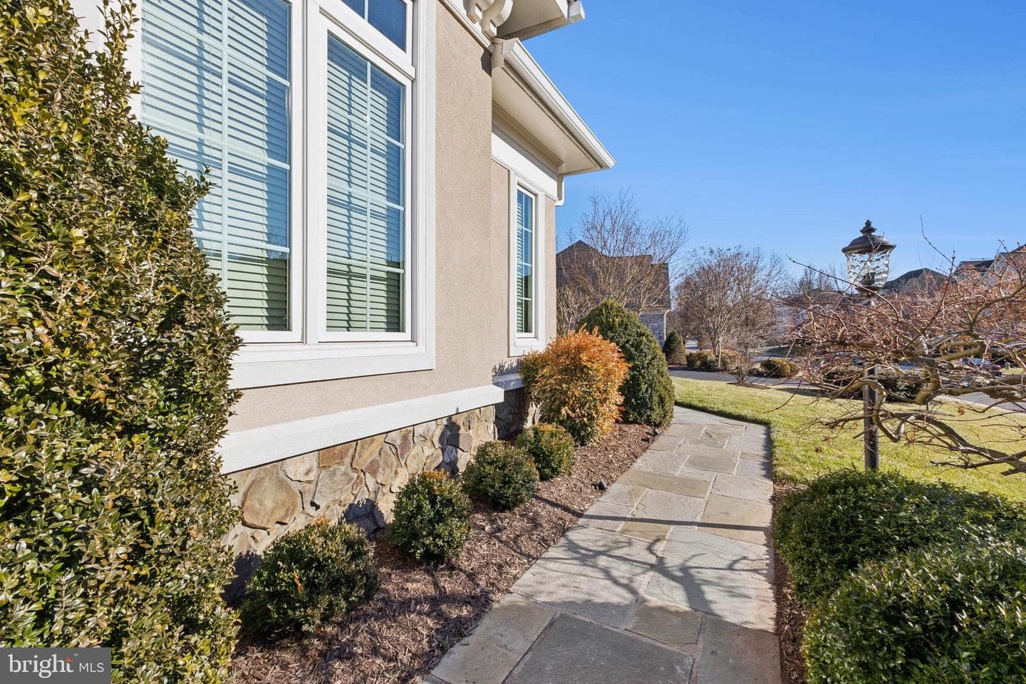 8346 Roxborough Loop photo 10