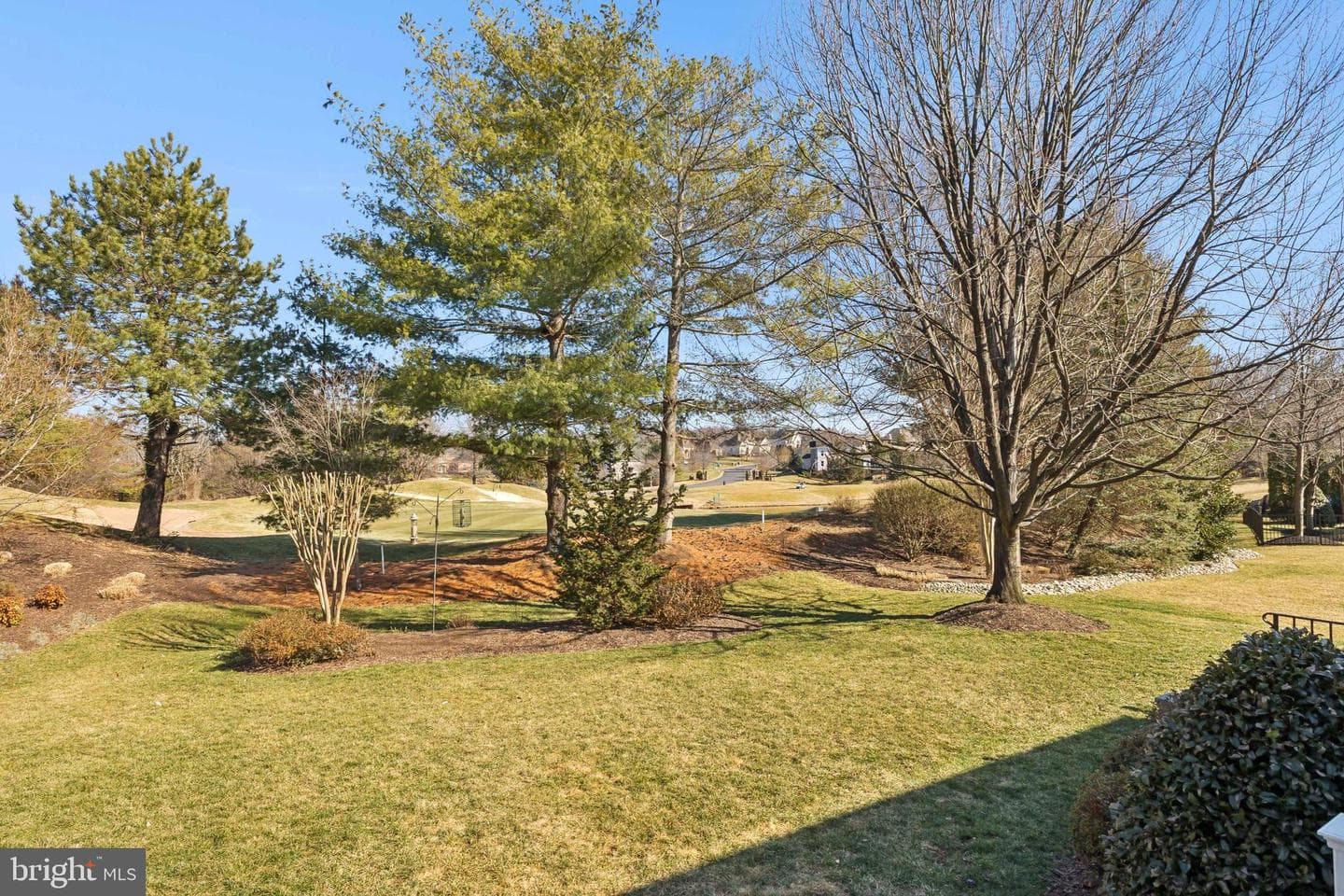 8346 Roxborough Loop photo 106