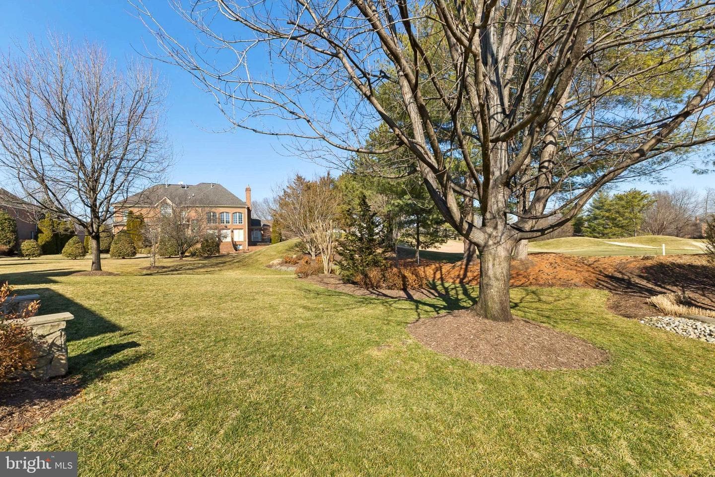 8346 Roxborough Loop photo 113