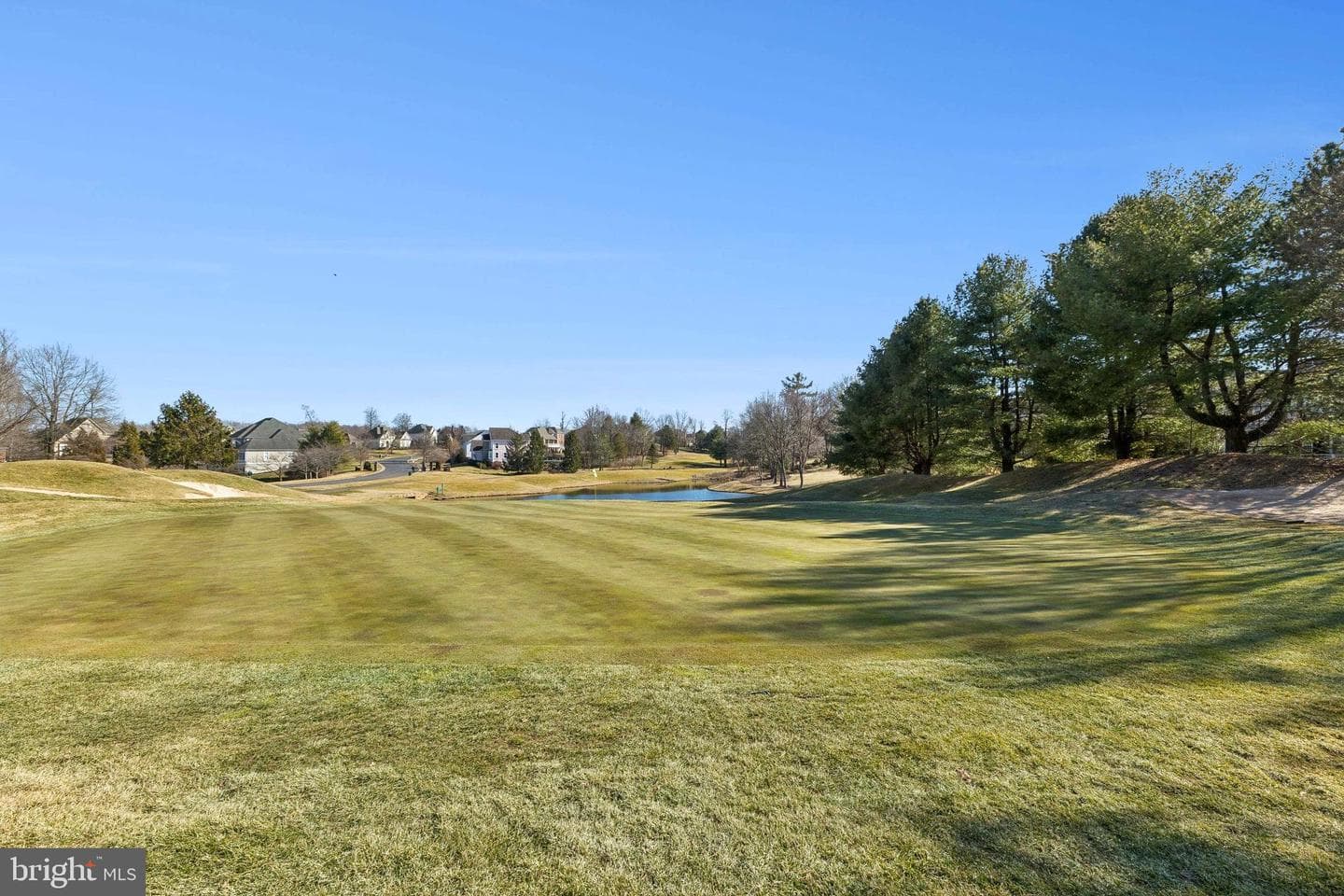 8346 Roxborough Loop photo 114