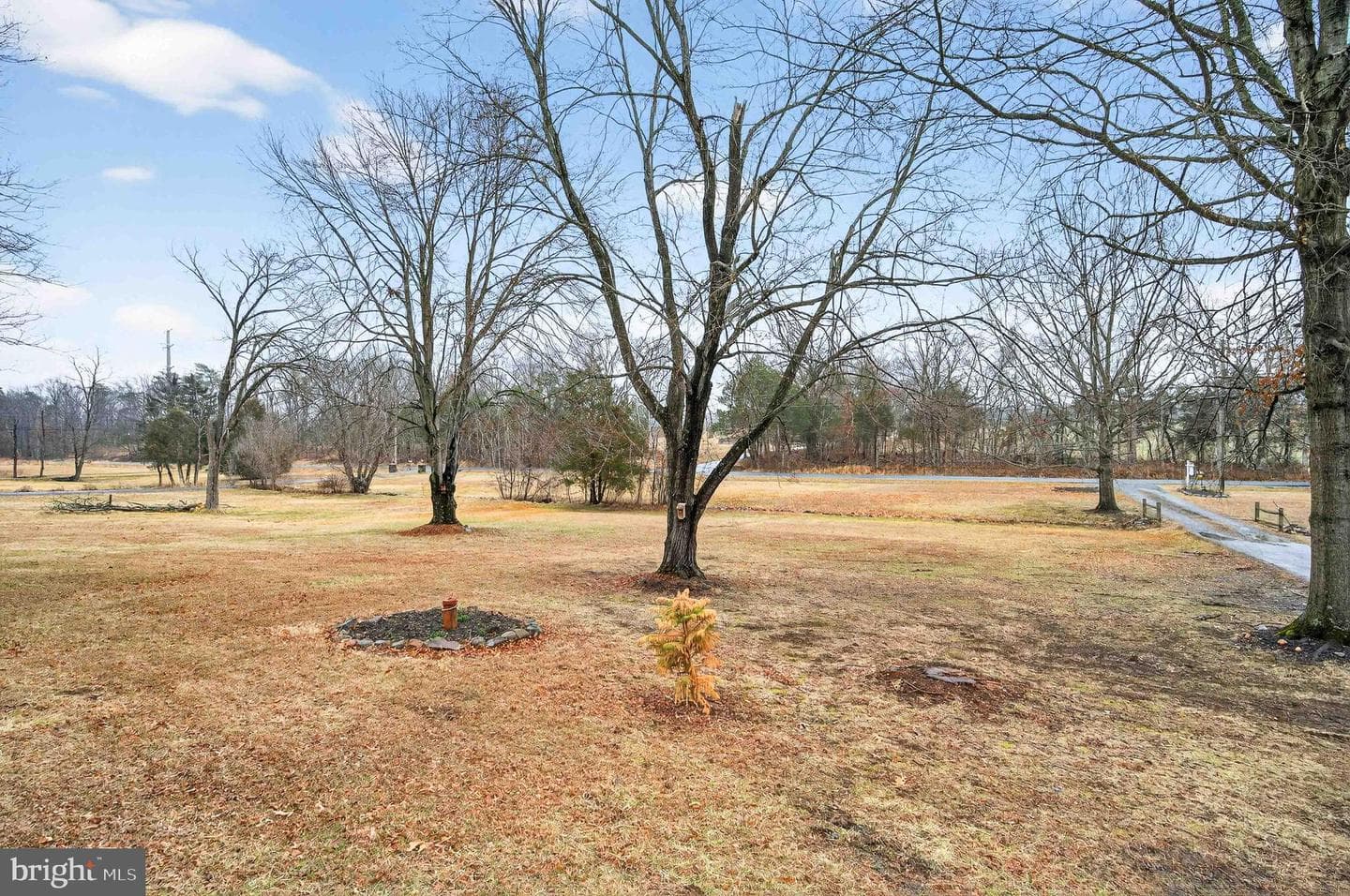 10314 Reid Lane photo 43