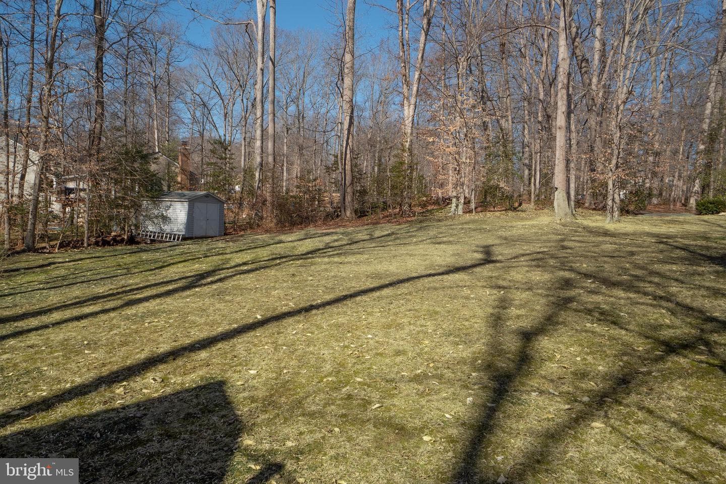 7779 Fern Oak Court photo 51