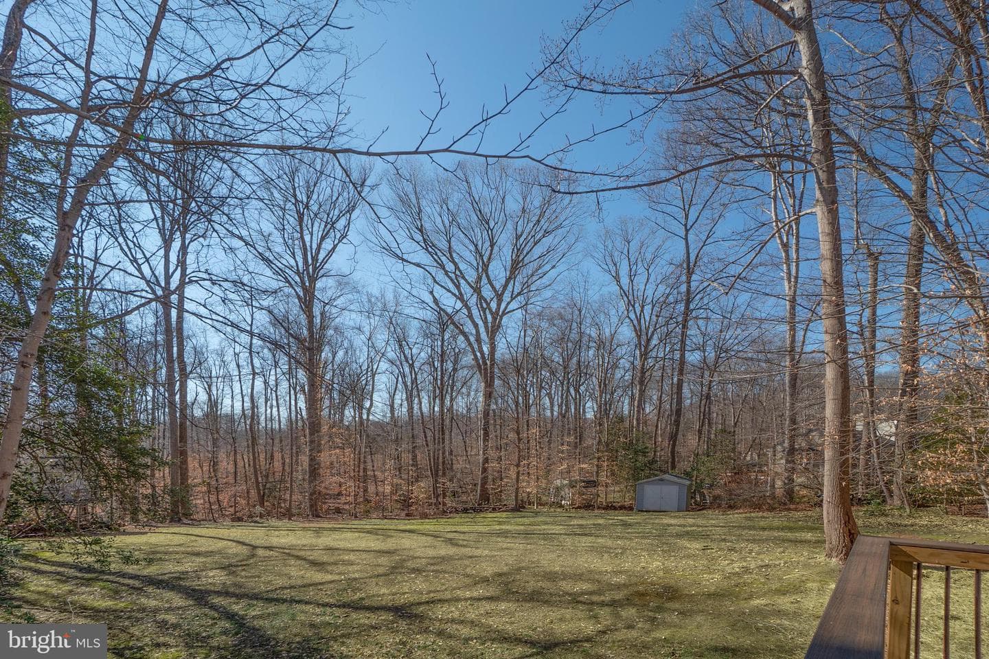 7779 Fern Oak Court photo 53