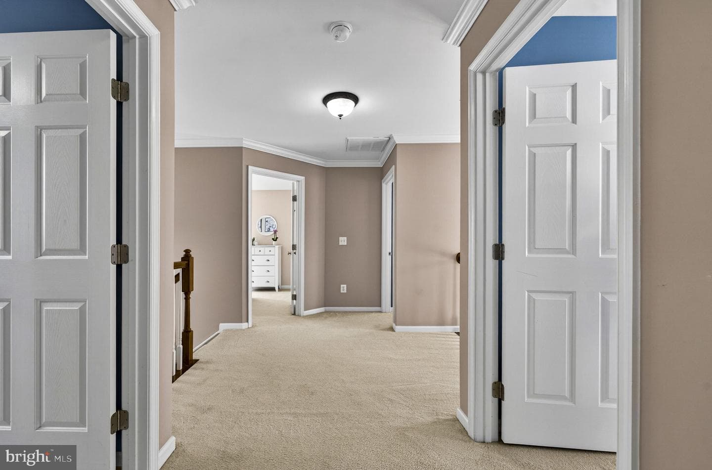 6913 Bitterroot Court photo 42