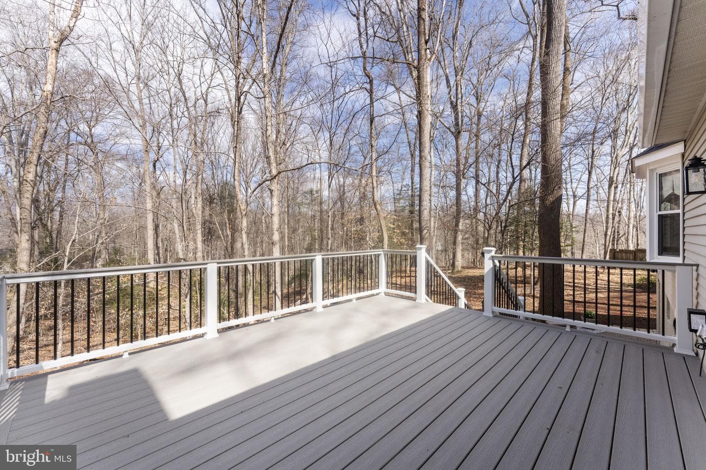 11415 Whispering Dove Place photo 53