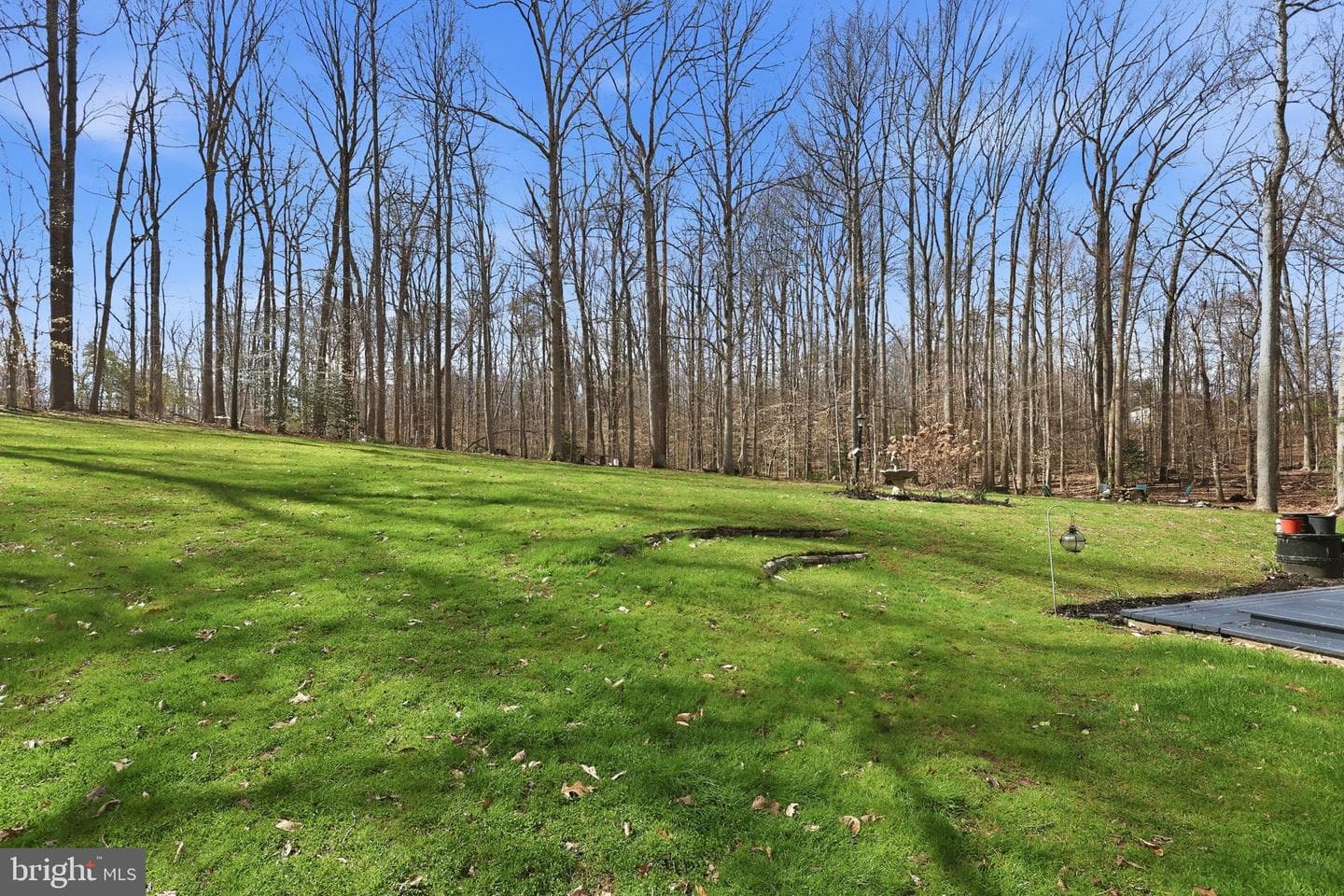 7100 Dark Forest Drive photo 44