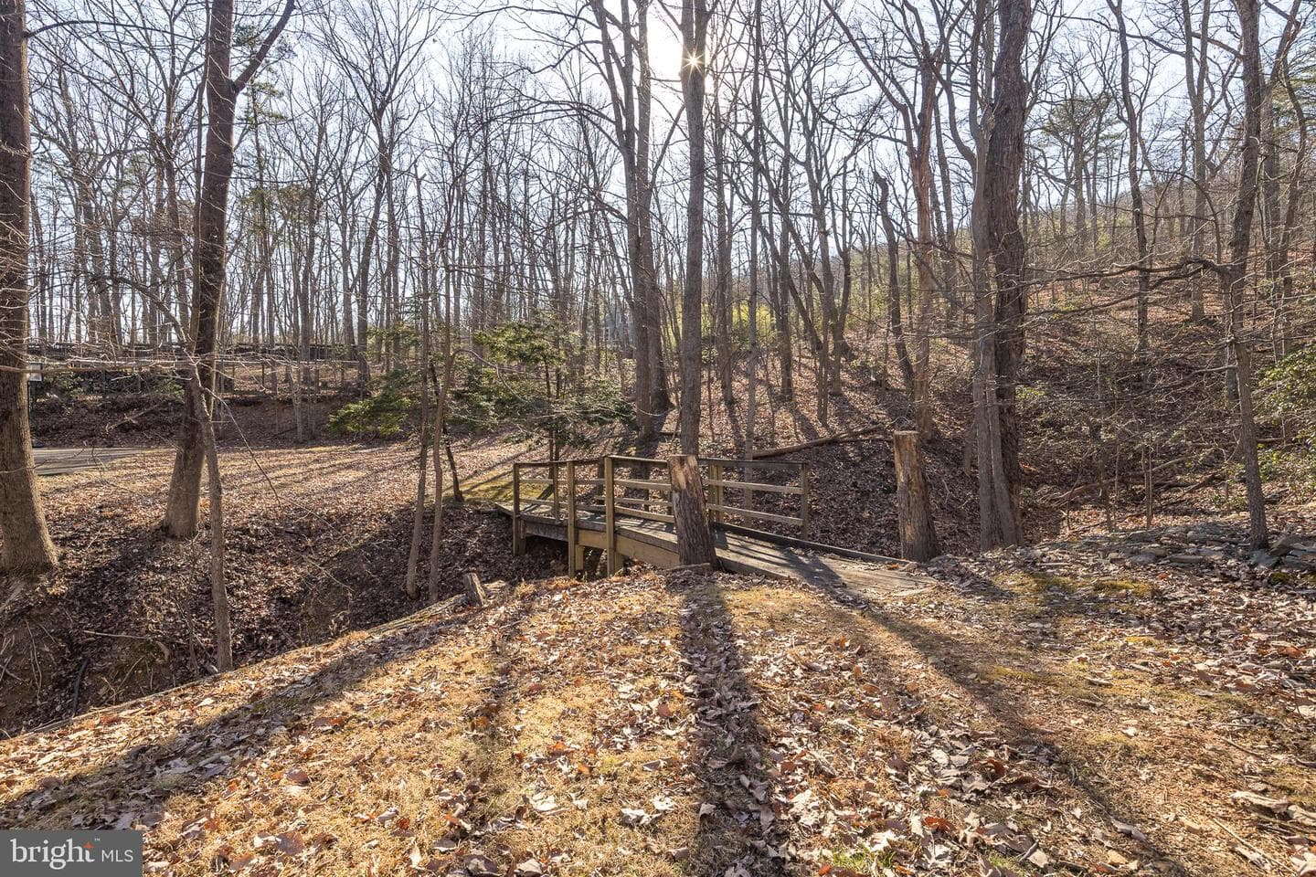 1616 Mountain Road photo 53