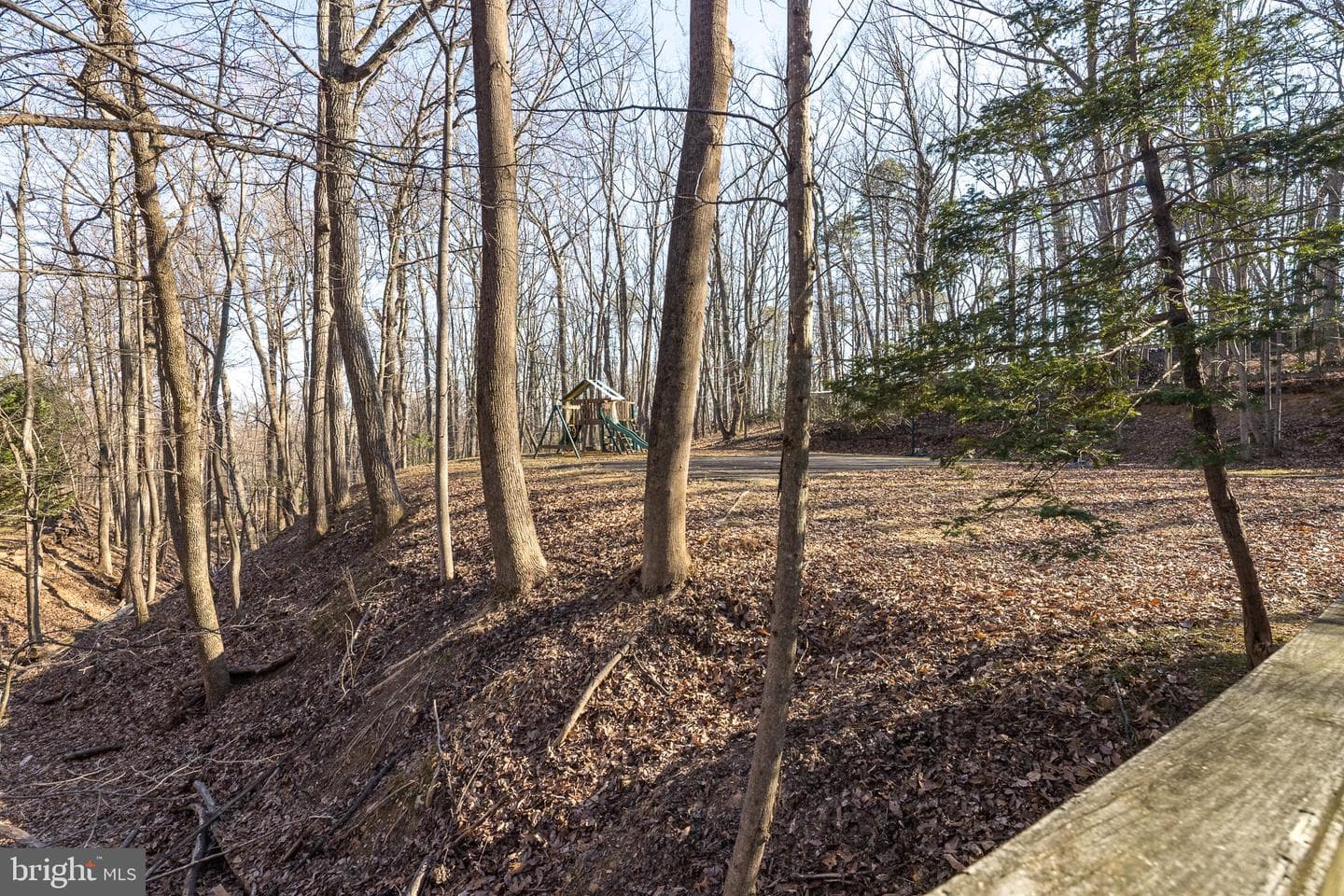 1616 Mountain Road photo 57
