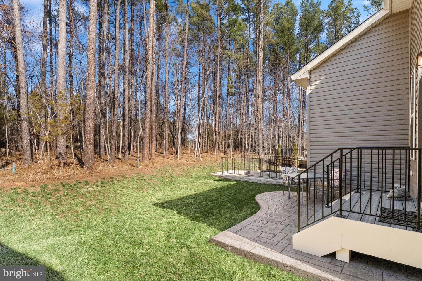 12504 Cavalier Forest Court photo 46