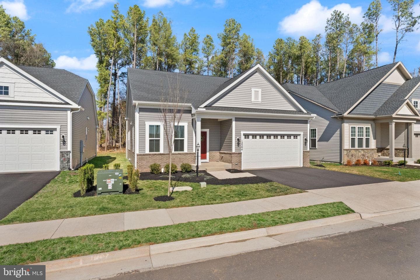 12504 Cavalier Forest Court photo 5