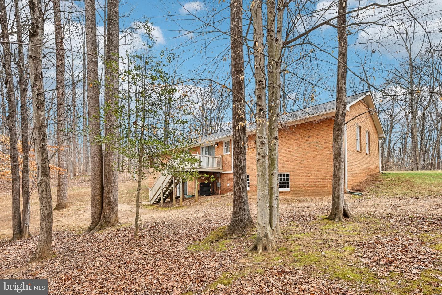 11430 Harton Street photo 48