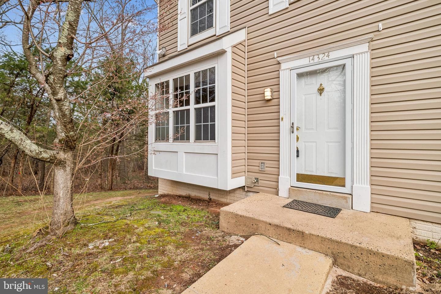 14324 Springfield Court photo 5