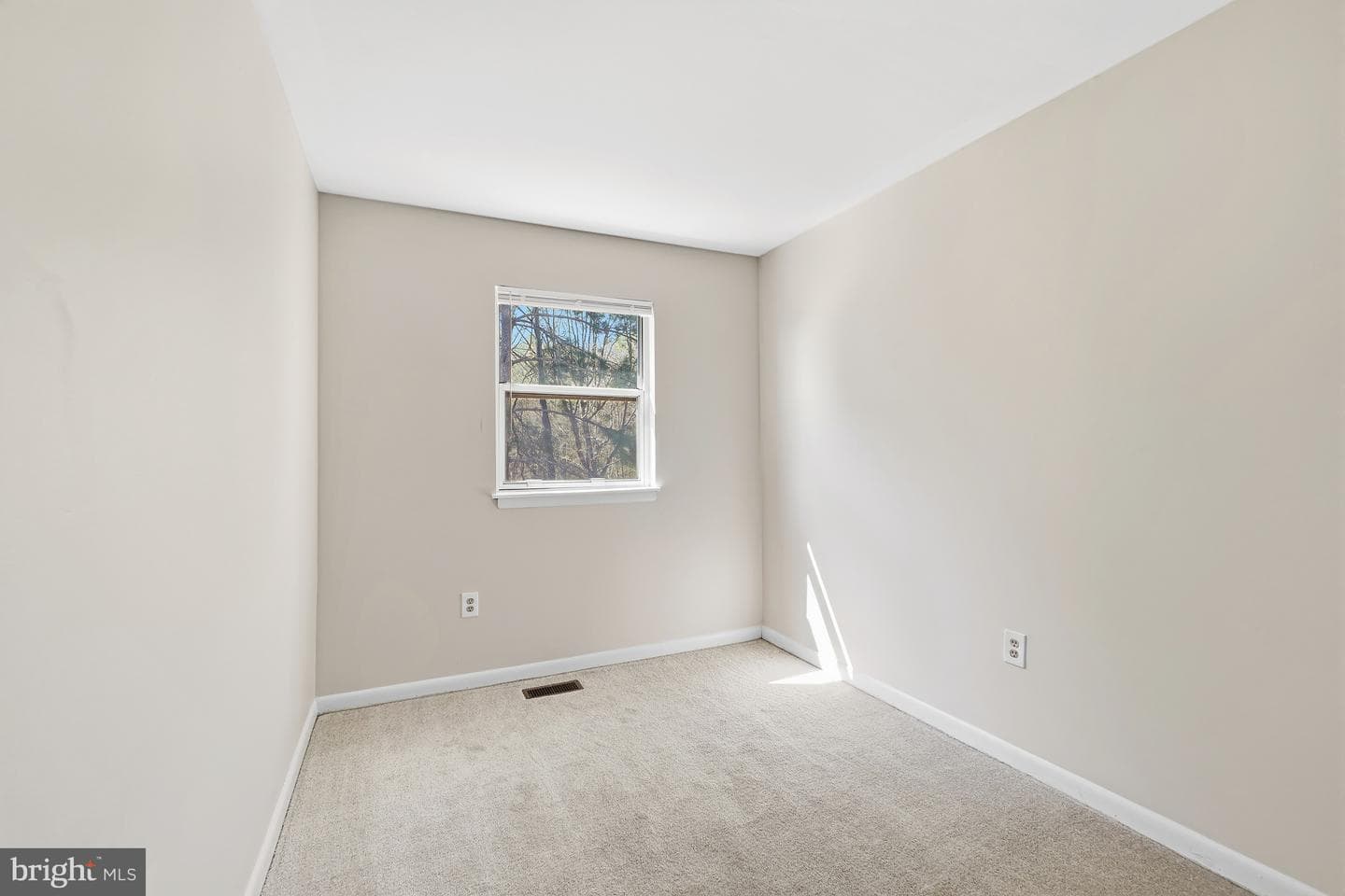 14839 Ensor Court photo 19