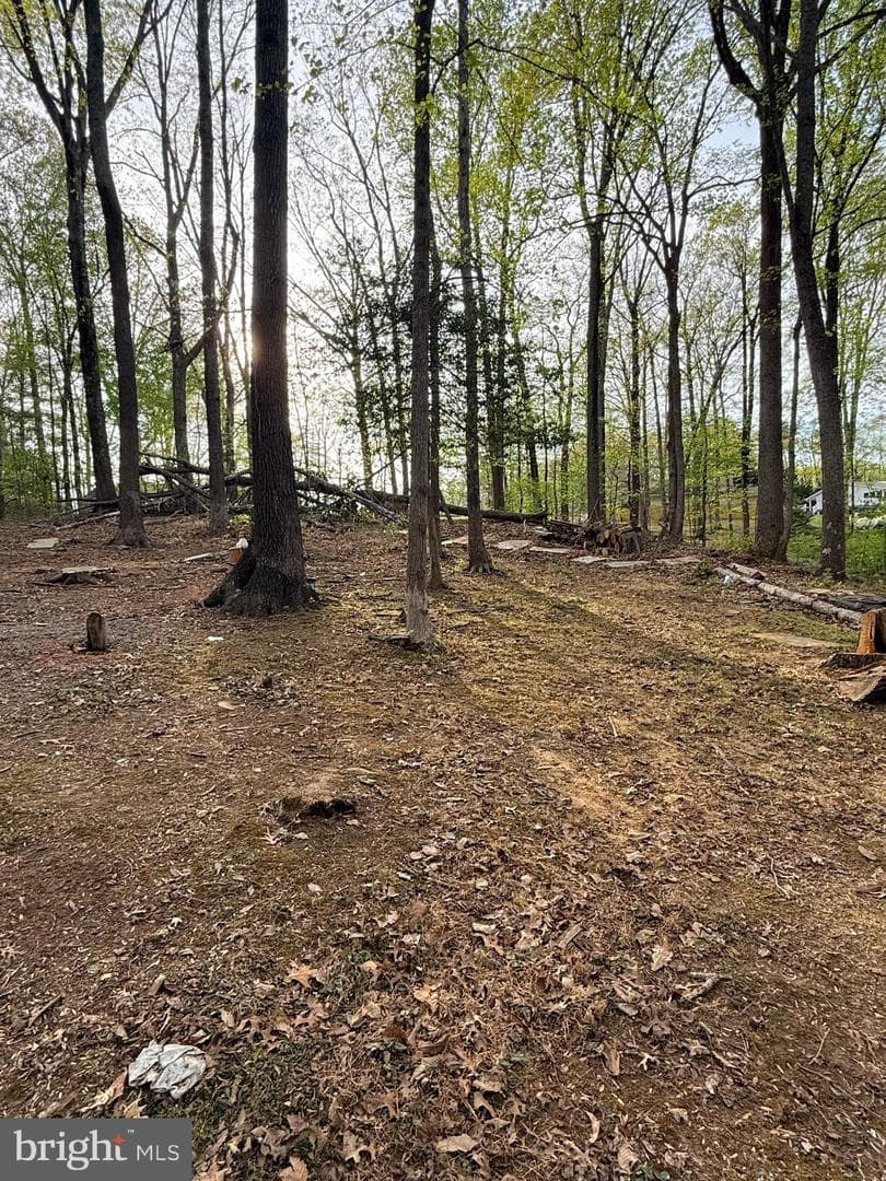 6910 Token Valley Road photo 7