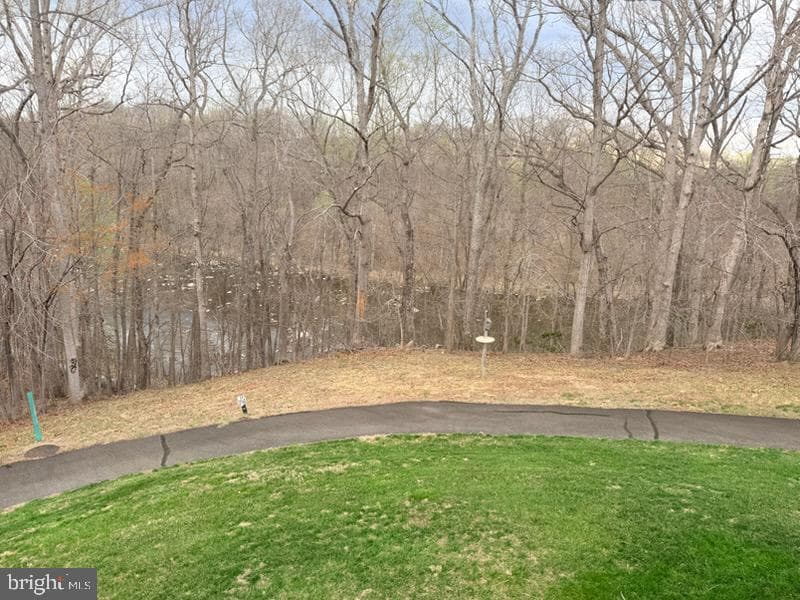 12116 Eddystone Court photo 10