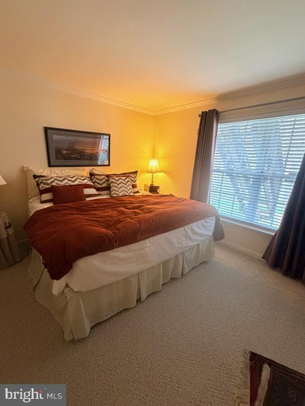 12116 Eddystone Court photo 5