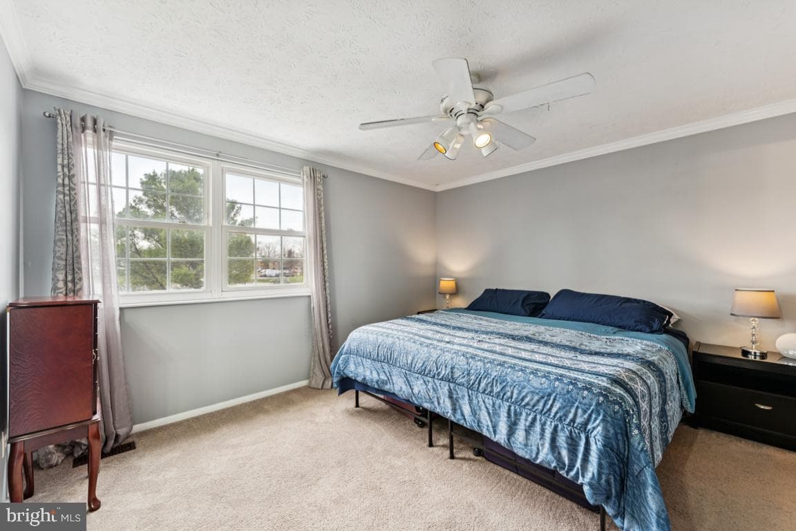 10119 Statesboro Court photo 14