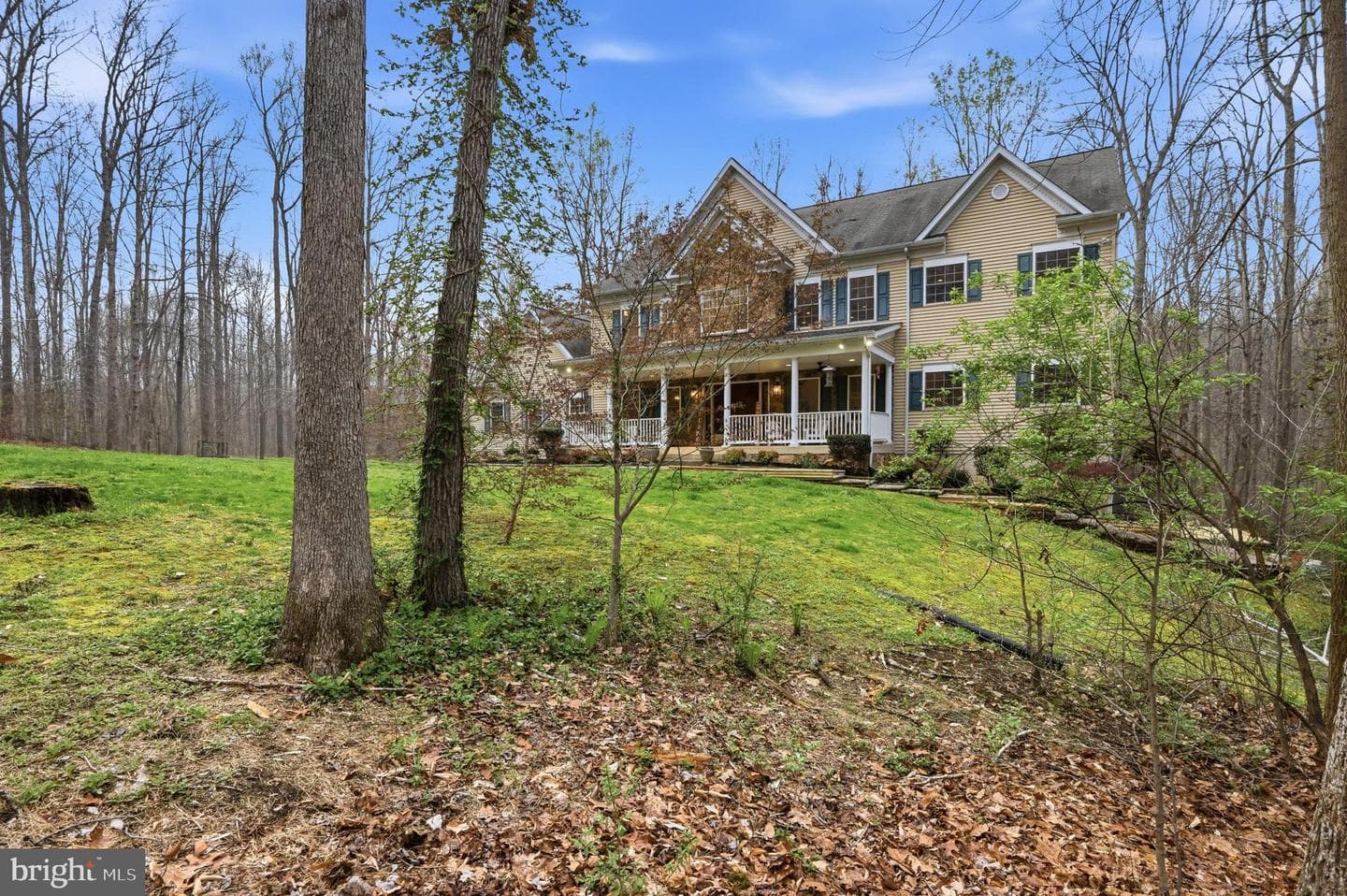 13535 Frost Drive photo 3