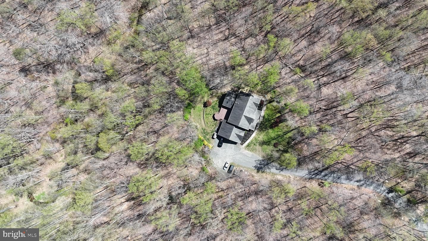 13535 Frost Drive photo 93