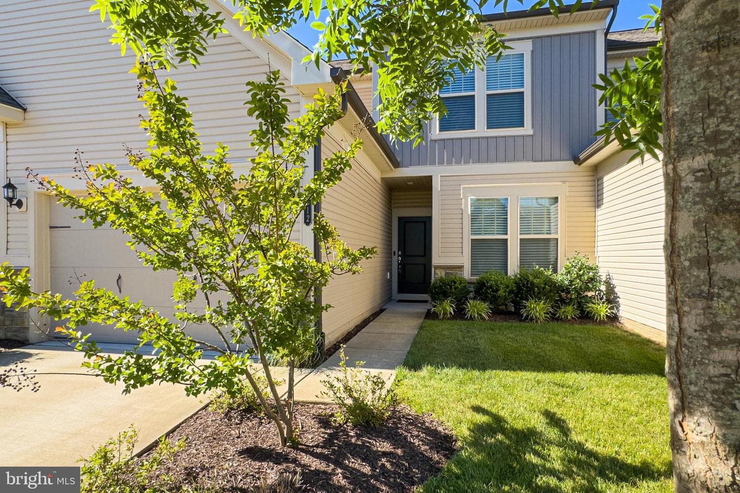 6312 Virginia Bluebell Lane photo 4