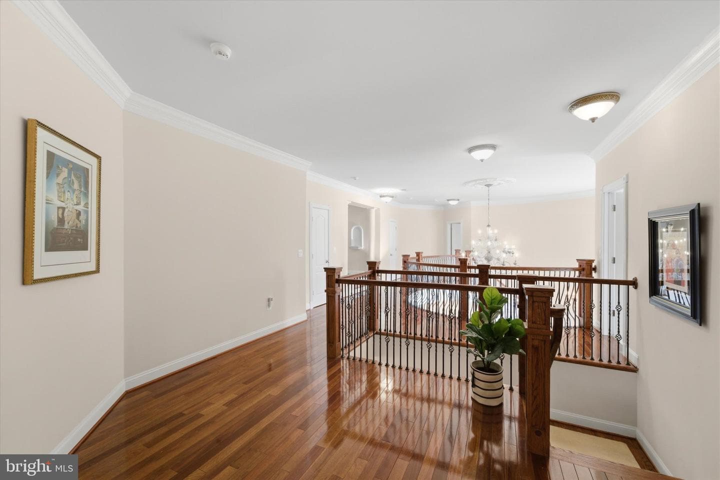 10101 Alydar Court photo 32