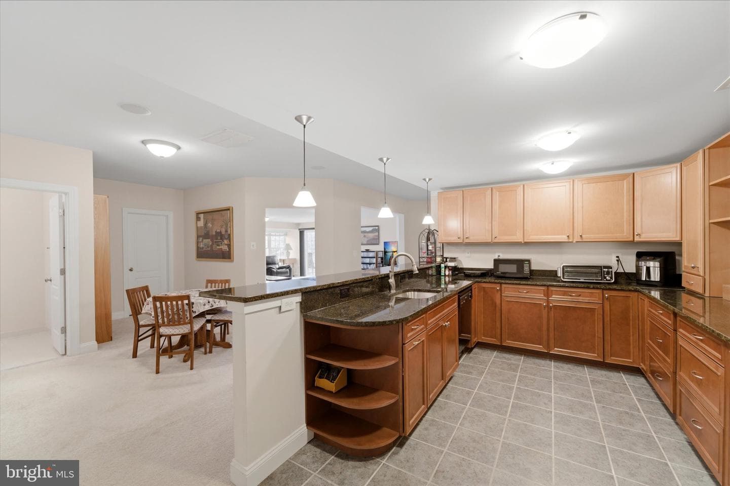 10101 Alydar Court photo 59