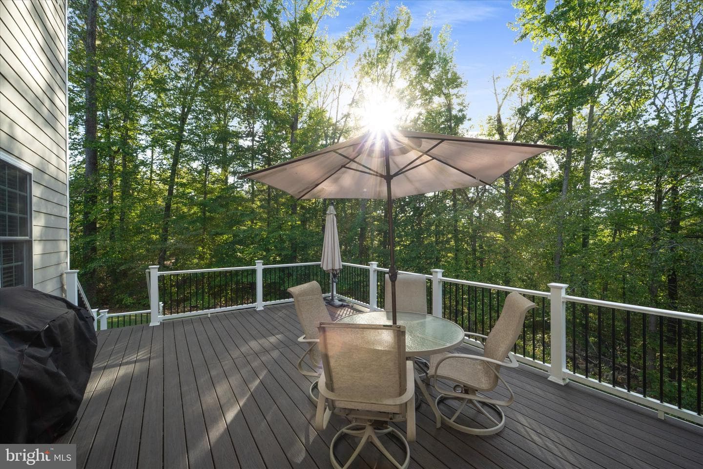 10101 Alydar Court photo 69