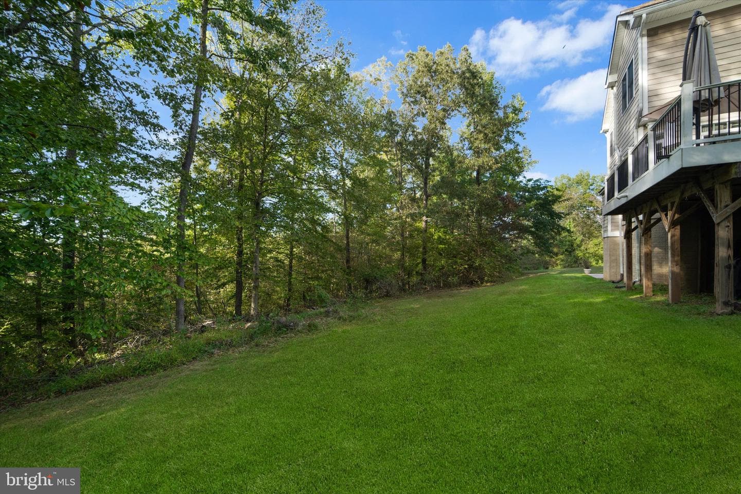 10101 Alydar Court photo 73