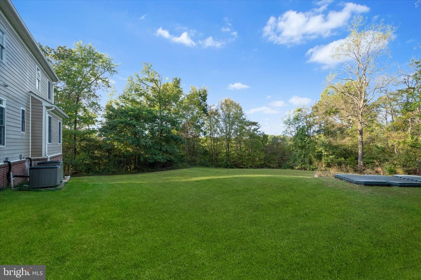 10101 Alydar Court photo 77