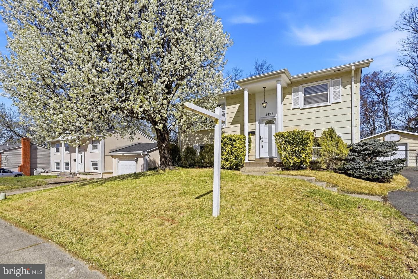 4422 Hamilton Drive photo 2