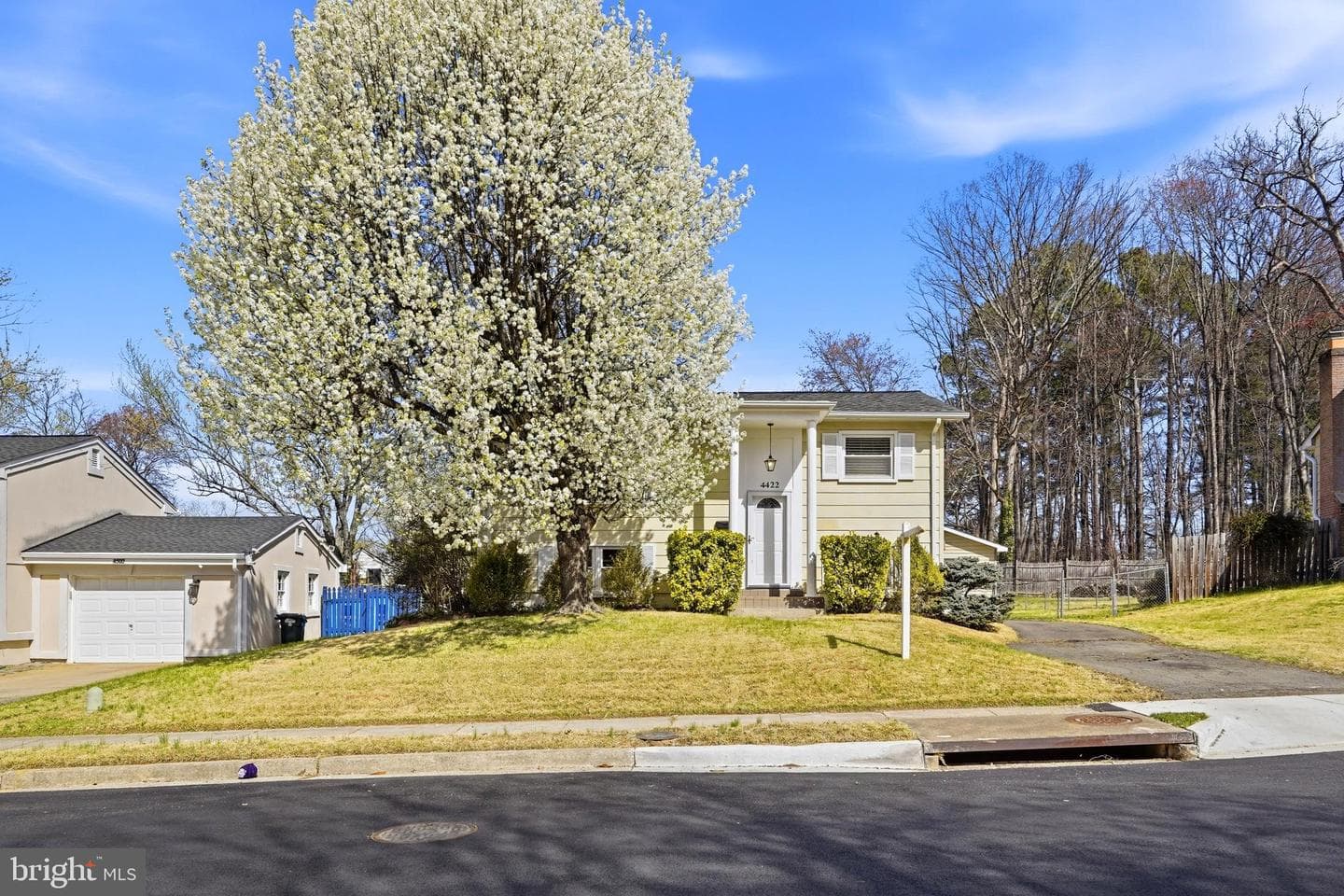 4422 Hamilton Drive photo 3