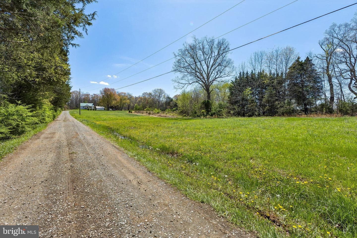 13605 Fleetwood Drive photo 10