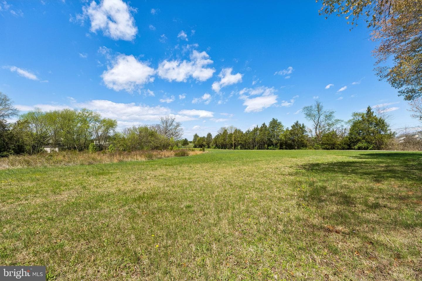 13605 Fleetwood Drive photo 12