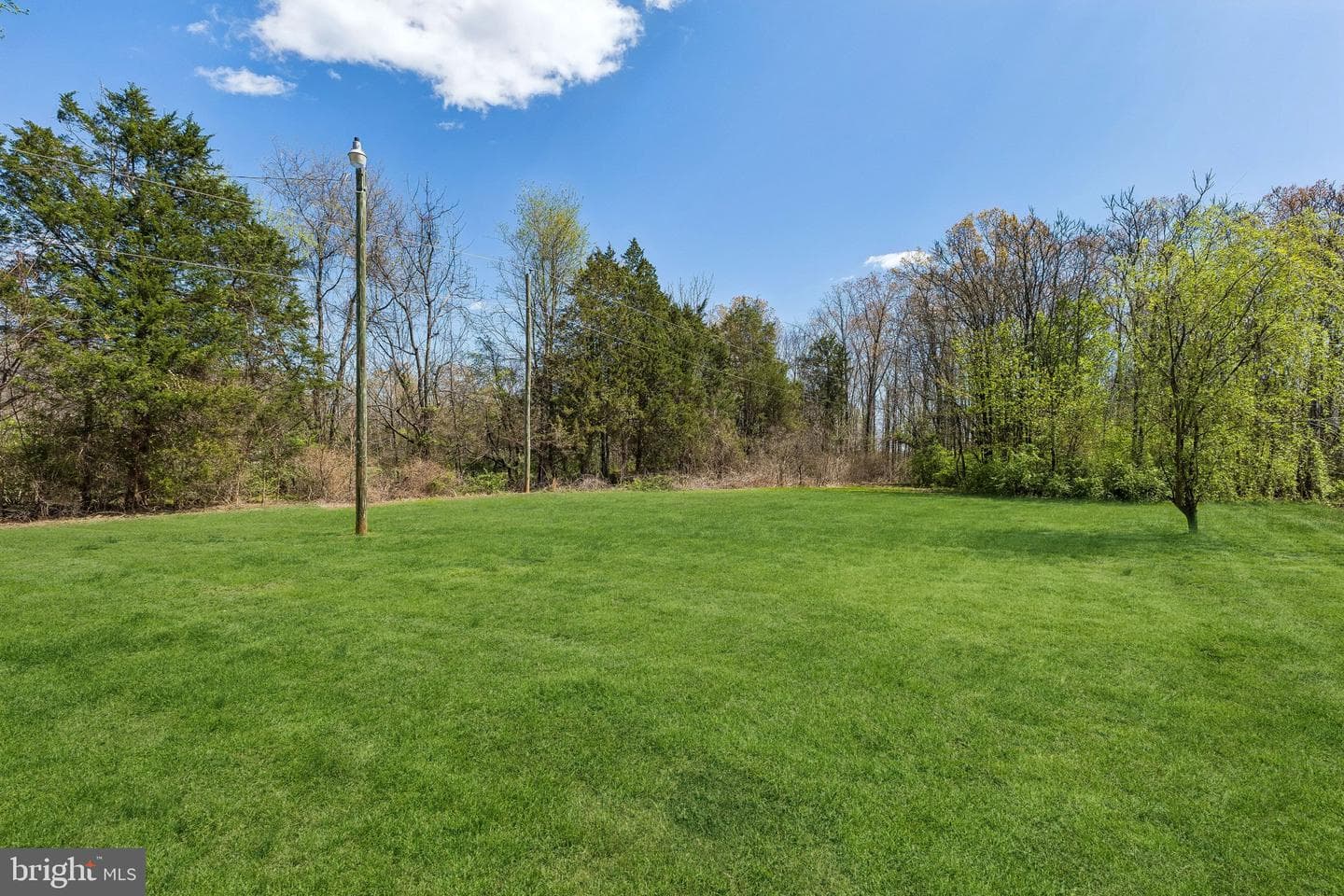 13605 Fleetwood Drive photo 7