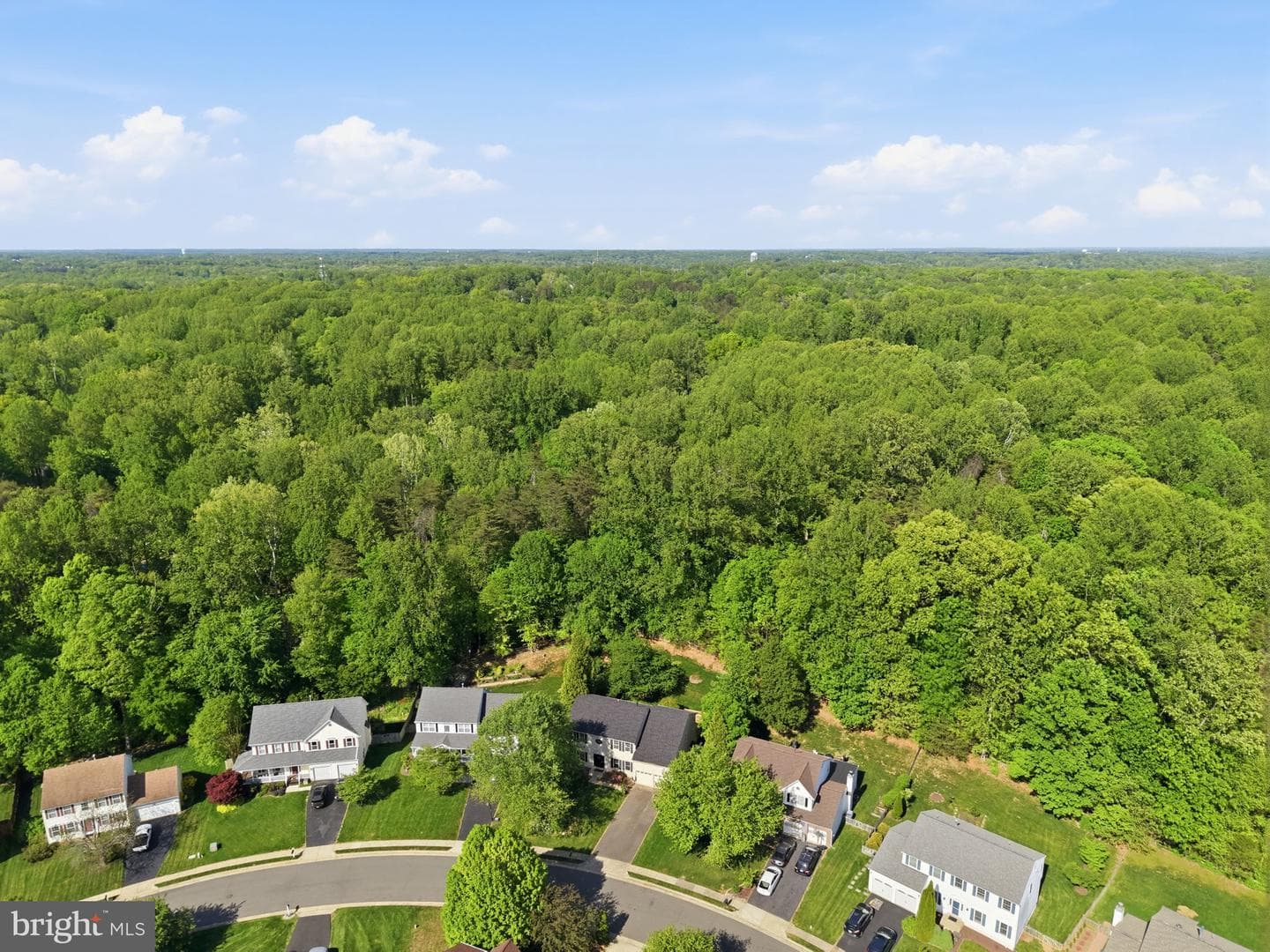 5106 Leatherback Road photo 50