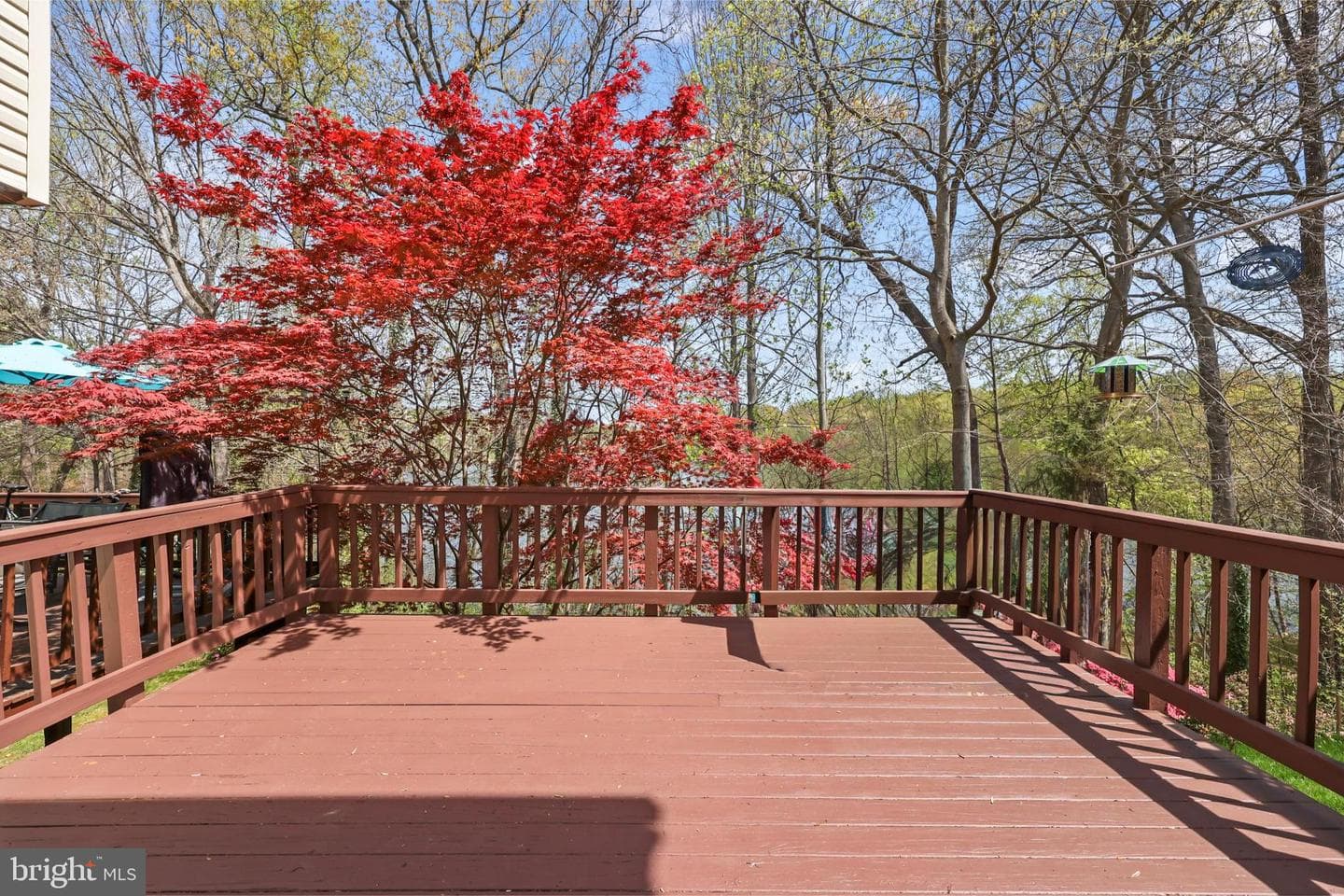 15767 Widewater Drive photo 36
